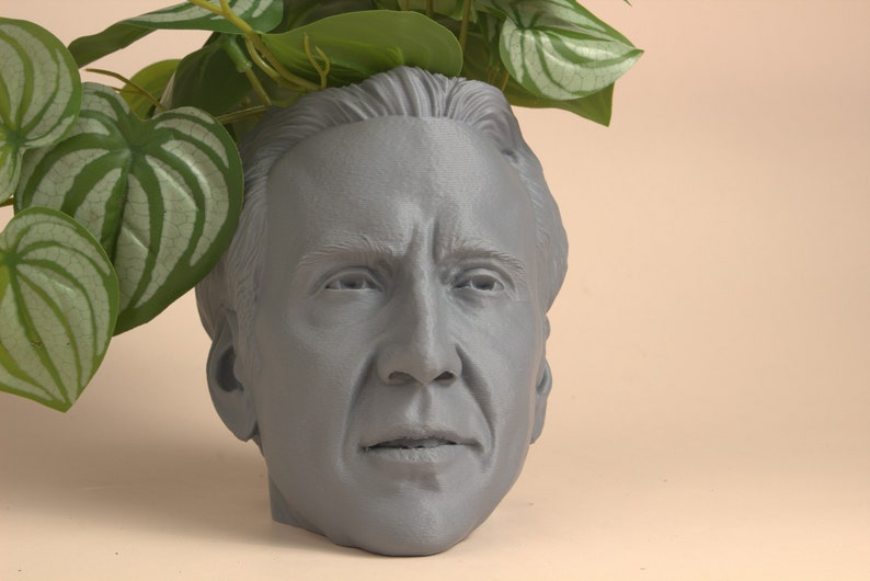 The Nicolas Cage Head Planter For House Plants and Succulents image 2