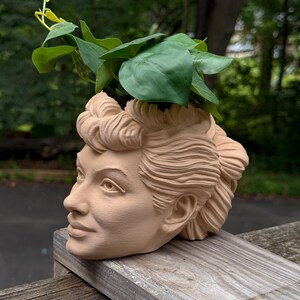 May include: A tan-colored planter shaped like a woman's head, with detailed facial features and hair. Green leafy plant stems emerge from the top of the head. The planter is sitting on a wooden surface.