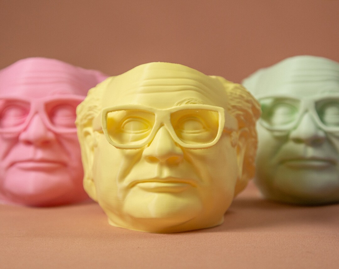 Danny Devito Head Planter Pot for House Plants and Succulents - Etsy