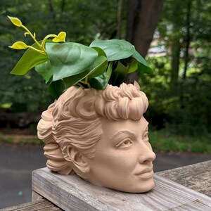 May include: A beige-colored planter shaped like a woman's head, with detailed facial features and curly hair. Green leafy plants sprout from the top of the head. The planter is placed on a wooden surface, with a blurred green background.