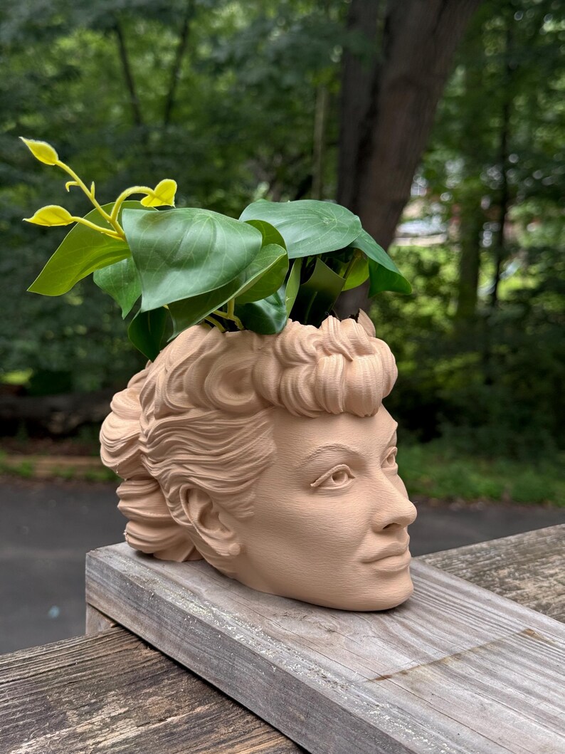 May include: A beige-colored planter shaped like a woman's head, with detailed facial features and curly hair. Green leafy plants sprout from the top of the head. The planter is placed on a wooden surface, with a blurred green background.