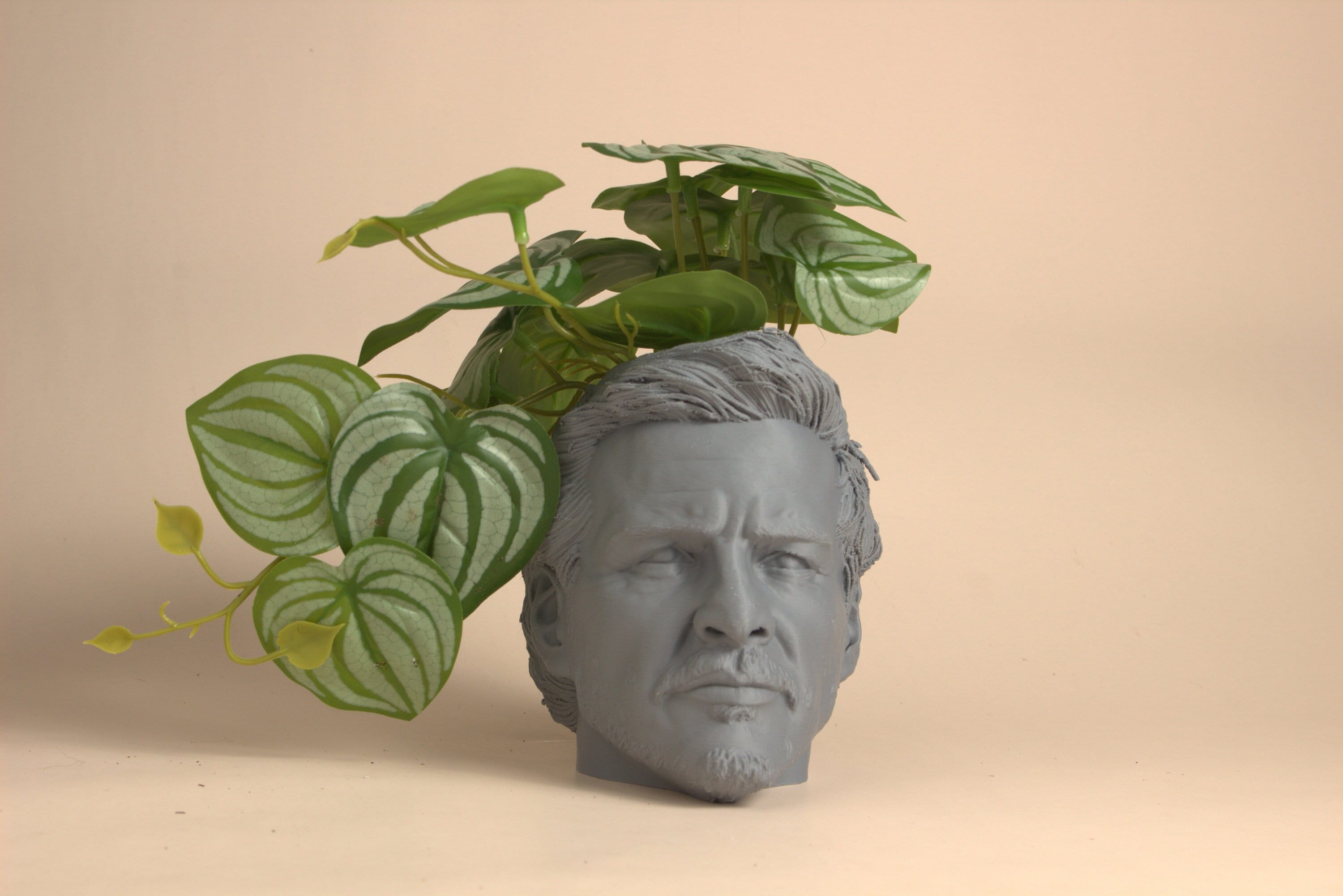 The Pedro Pascal Head Planter For House Plants and Succulents