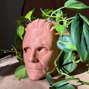 May include: A terracotta-coloured face mask planter with a green leafy plant growing out of the top.
