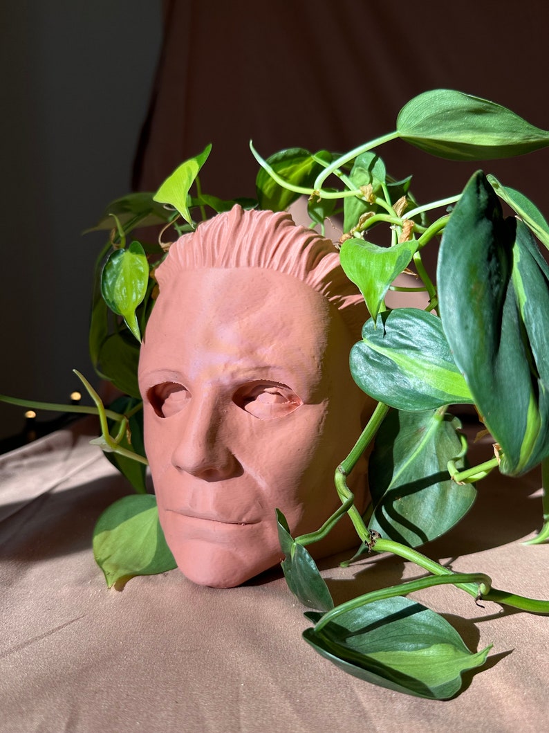 May include: A terracotta-coloured face mask planter with a green leafy plant growing out of the top.