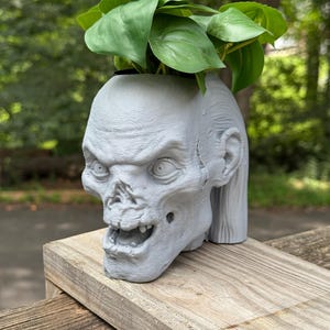 May include: A gray, zombie-head-shaped planter with green leafy plants. The planter has detailed facial features and a textured surface. The plant pot is made of a durable material and is suitable for indoor or outdoor use.