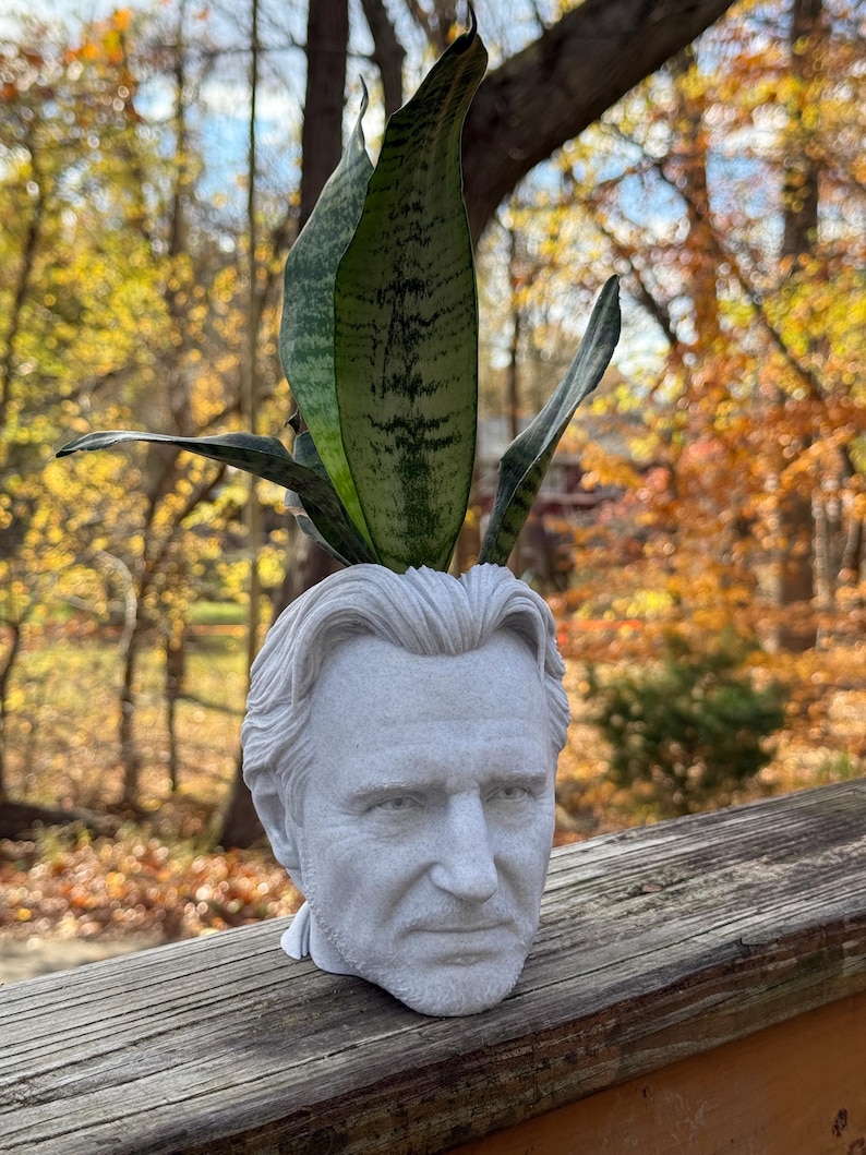 Liam Neeson Kruklåda för krukväxter och suckulenter bild 4