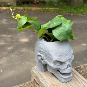May include: A gray, skull-shaped planter holding green leafy plants with yellow accents. The planter is made of a textured material and sits on a wooden surface. The skull has detailed facial features.