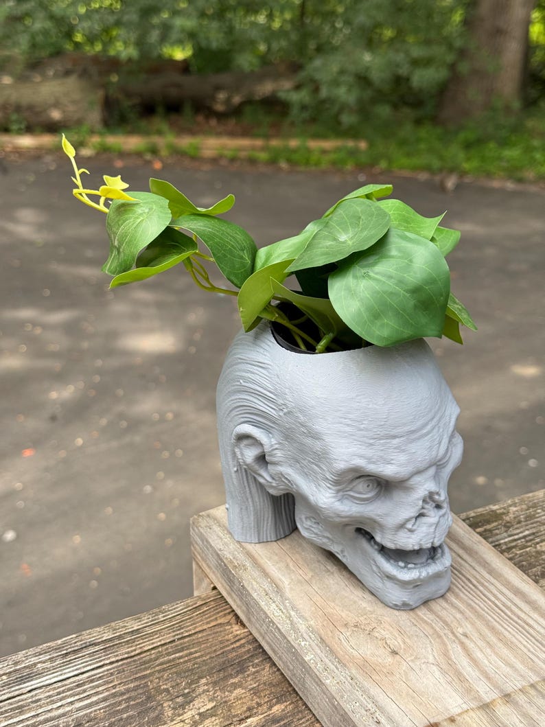 May include: A gray, skull-shaped planter holding green leafy plants with yellow accents. The planter is made of a textured material and sits on a wooden surface. The skull has detailed facial features.