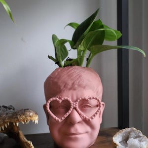 The Elton John Planter For House Plants and Succulents image 5