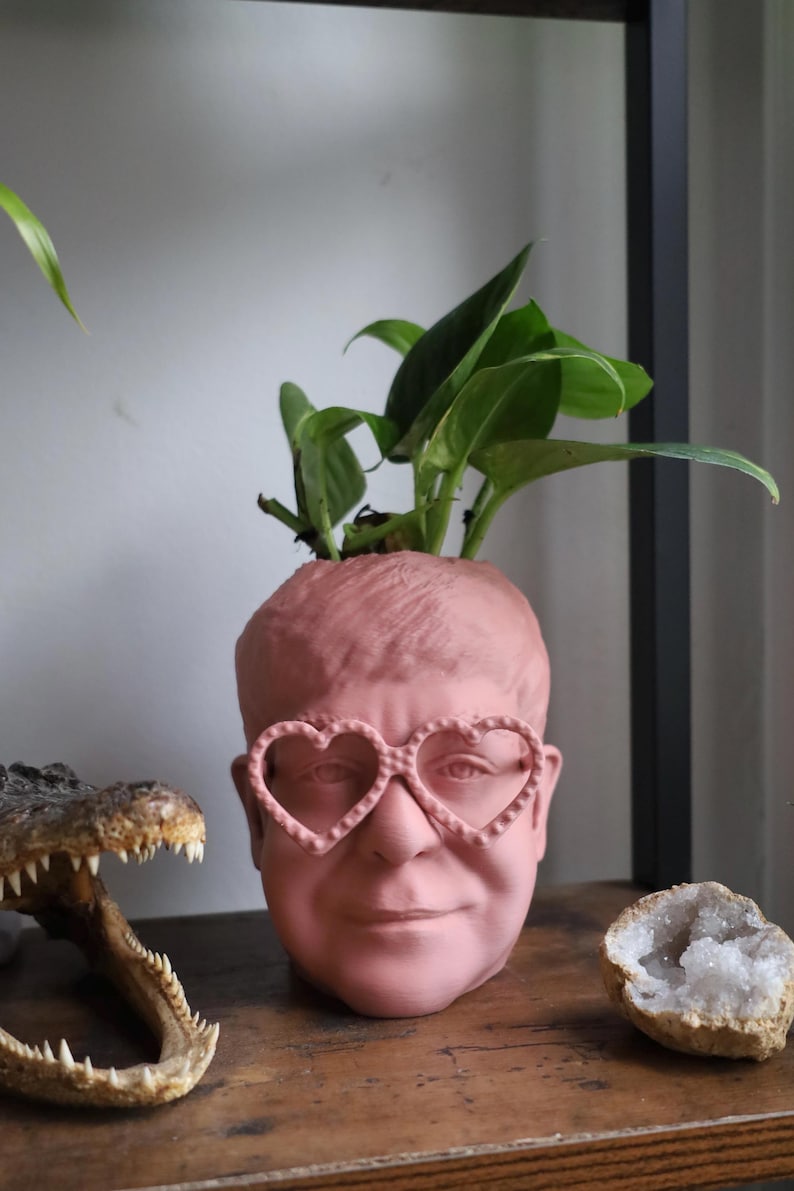 The Elton John Planter For House Plants and Succulents image 5