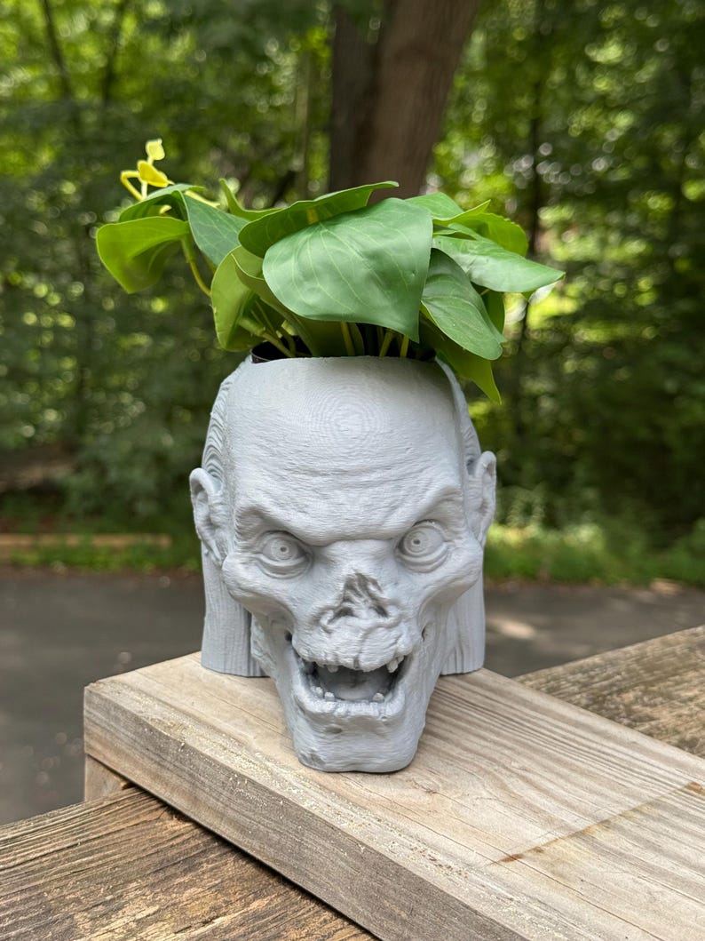 May include: A gray, zombie-head-shaped planter holds a vibrant green plant. The planter has detailed facial features, including sunken eyes and an open mouth. The plant's leaves are large and heart-shaped, contrasting with the planter's eerie design.
