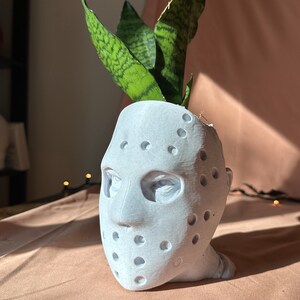 May include: A white ceramic planter shaped like a hockey mask with a green snake plant growing out of the top.