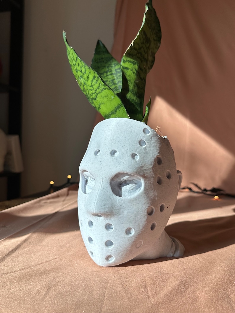 May include: A white ceramic planter shaped like a hockey mask with a green snake plant growing out of the top.