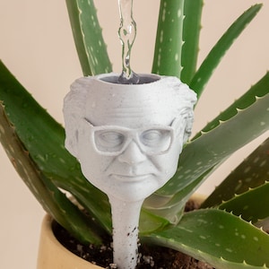 Le bâton d'arrosage Danny DeVito Frank Reynolds | Ampoule d'arrosage pour plantes d'intérieur et succulentes