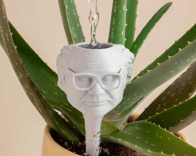 May include: A white ceramic planter shaped like a person's head with glasses, being watered with a clear liquid. The planter is in a pot with a green aloe vera plant.