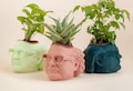 The Original Danny DeVito Frank Reynolds Head Planter For House Plants and Succulents