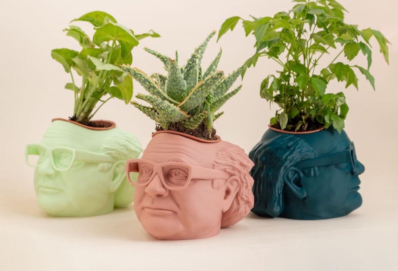 The Original Danny DeVito Frank Reynolds Head Planter For House Plants and Succulents