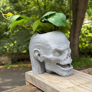 May include: A gray, zombie-themed planter with green leafy plants. The planter is shaped like a human skull with detailed facial features. The plant has large, heart-shaped leaves. The planter sits on a wooden surface.