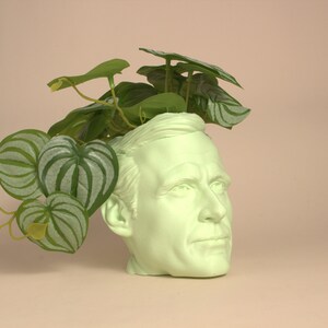 May include: A light green ceramic planter shaped like a person's head with a leafy green plant growing out of the top.