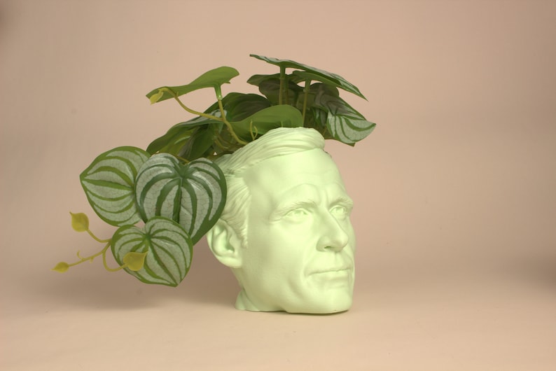 May include: A light green ceramic planter shaped like a person's head with a leafy green plant growing out of the top.