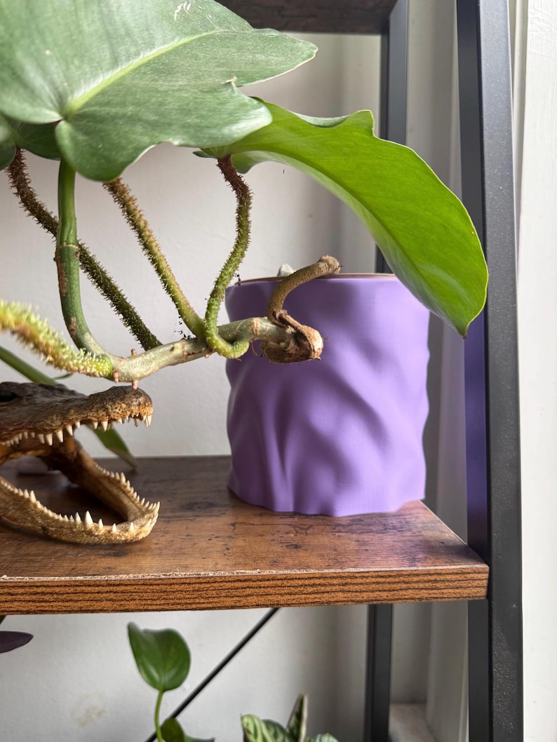 Op de afbeelding: Een close-up van een paarse, getextureerde keramische pot met een groene plant met grote bladeren. De pot staat op een houten plank, met een kleine alligatorkop zichtbaar aan de linkerkant.
