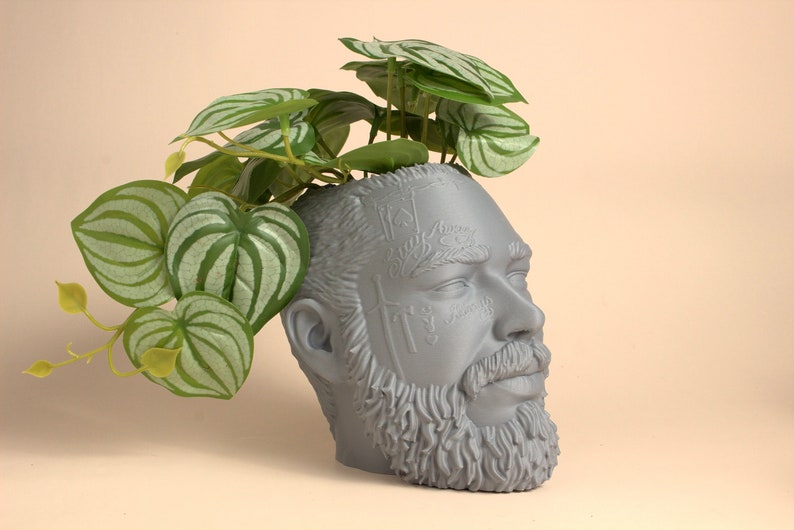 May include: A gray ceramic planter shaped like a man's head with a beard and tattoos. The planter is filled with a green leafy plant.