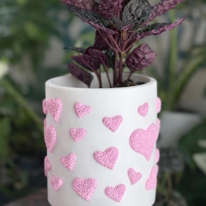 Fuzzy Heart plantenbak voor kamerplanten en vetplanten afbeelding 1