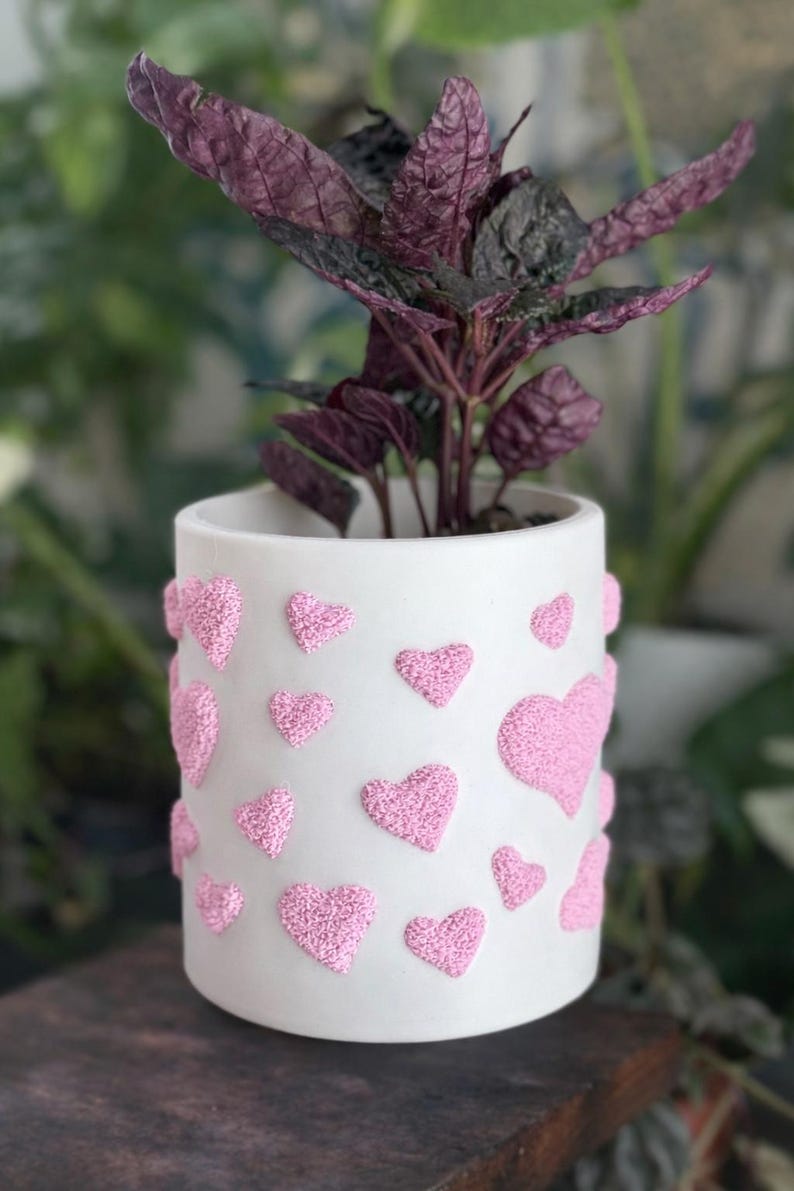 Fuzzy Heart plantenbak voor kamerplanten en vetplanten afbeelding 1