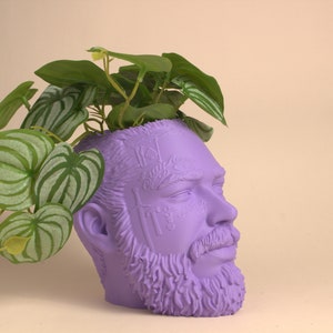 May include: A purple planter shaped like a man's head with a beard and a plant growing out of the top.