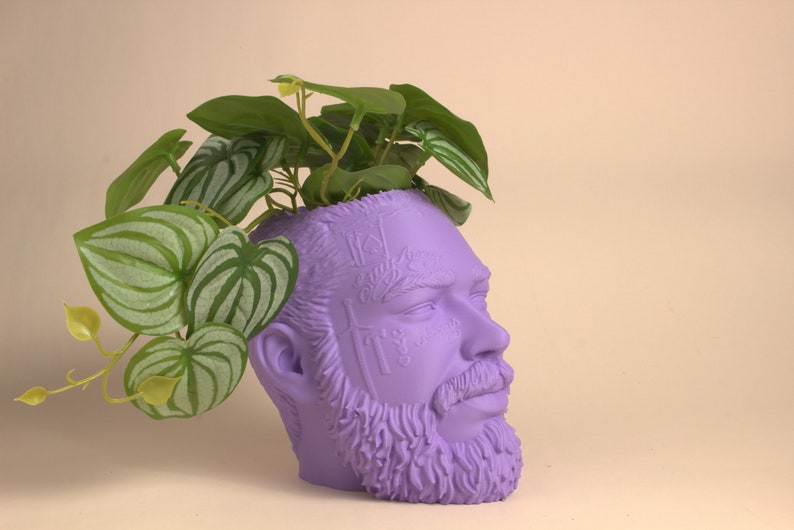 May include: A purple planter shaped like a man's head with a beard and a plant growing out of the top.
