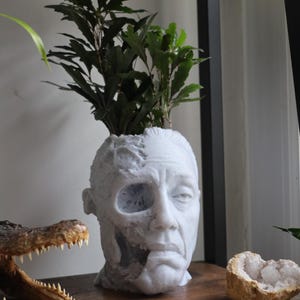 Gus Fring Tragic End Planter For Houseplants And Succulents image 3