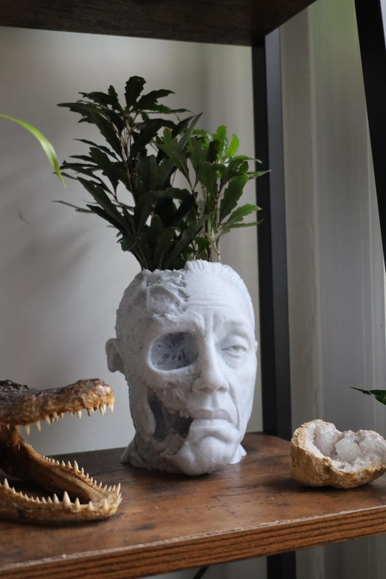 Gus Fring Tragic End Planter For Houseplants And Succulents image 3