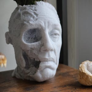 Gus Fring Tragic End Planter For Houseplants And Succulents image 4