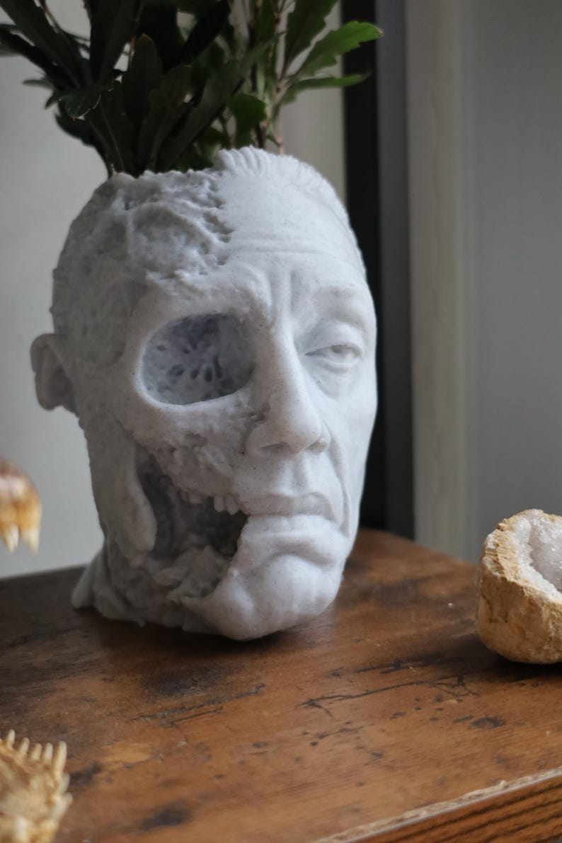 Gus Fring Tragic End Planter For Houseplants And Succulents image 4