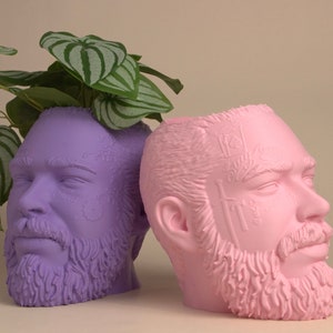 May include: Two ceramic planters shaped like human heads, one is purple and the other is pink. Both planters have detailed facial features and beards. The purple planter has a green plant growing out of the top.