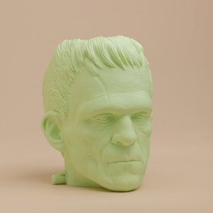 Frankensteins Monster Planter For Houseplants And Succulents