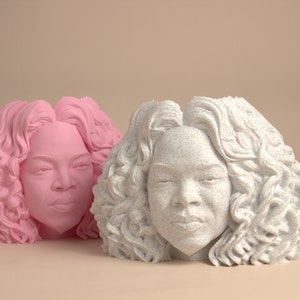 Puede incluir: Dos bustos de mujer impresos en 3D con cabello rizado. Un busto es rosa y el otro es blanco.