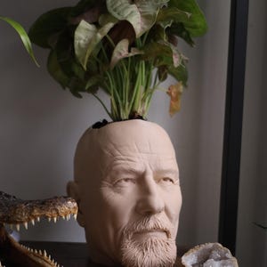 Walter White Bryan Cranston-planter voor kamerplanten en vetplanten afbeelding 2