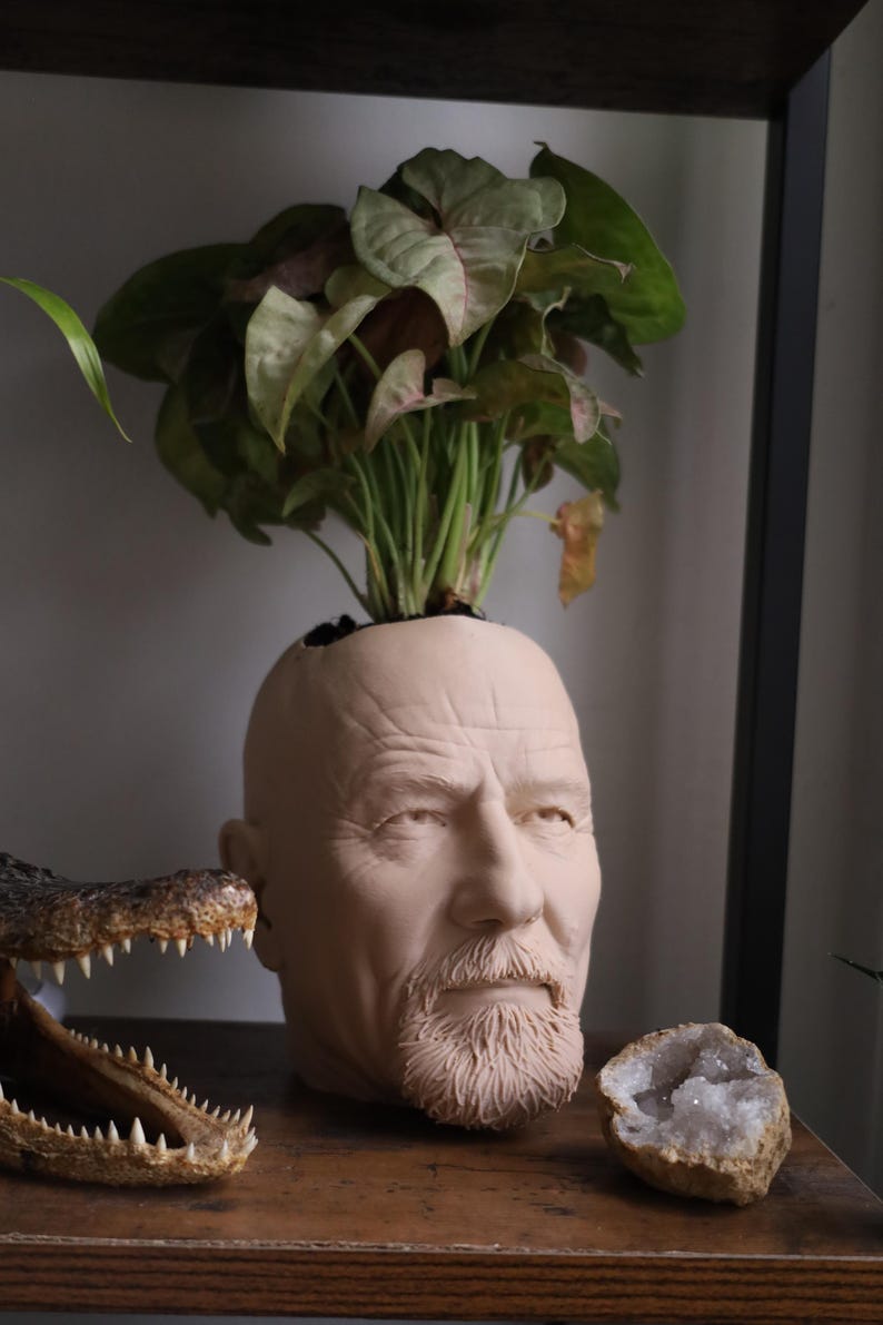 Walter White Bryan Cranston-planter voor kamerplanten en vetplanten afbeelding 2