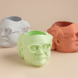 The Danny DeVito Frank Reynolds Planter For House Plants and Succulents