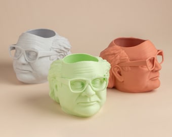 The Danny DeVito Frank Reynolds Planter For House Plants and Succulents