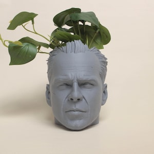 May include: A gray, sculpted human head planter with a leafy green plant growing out of the top.