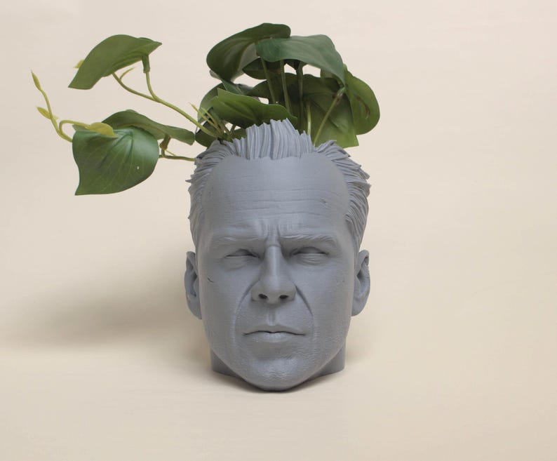 May include: A gray, sculpted human head planter with a leafy green plant growing out of the top.