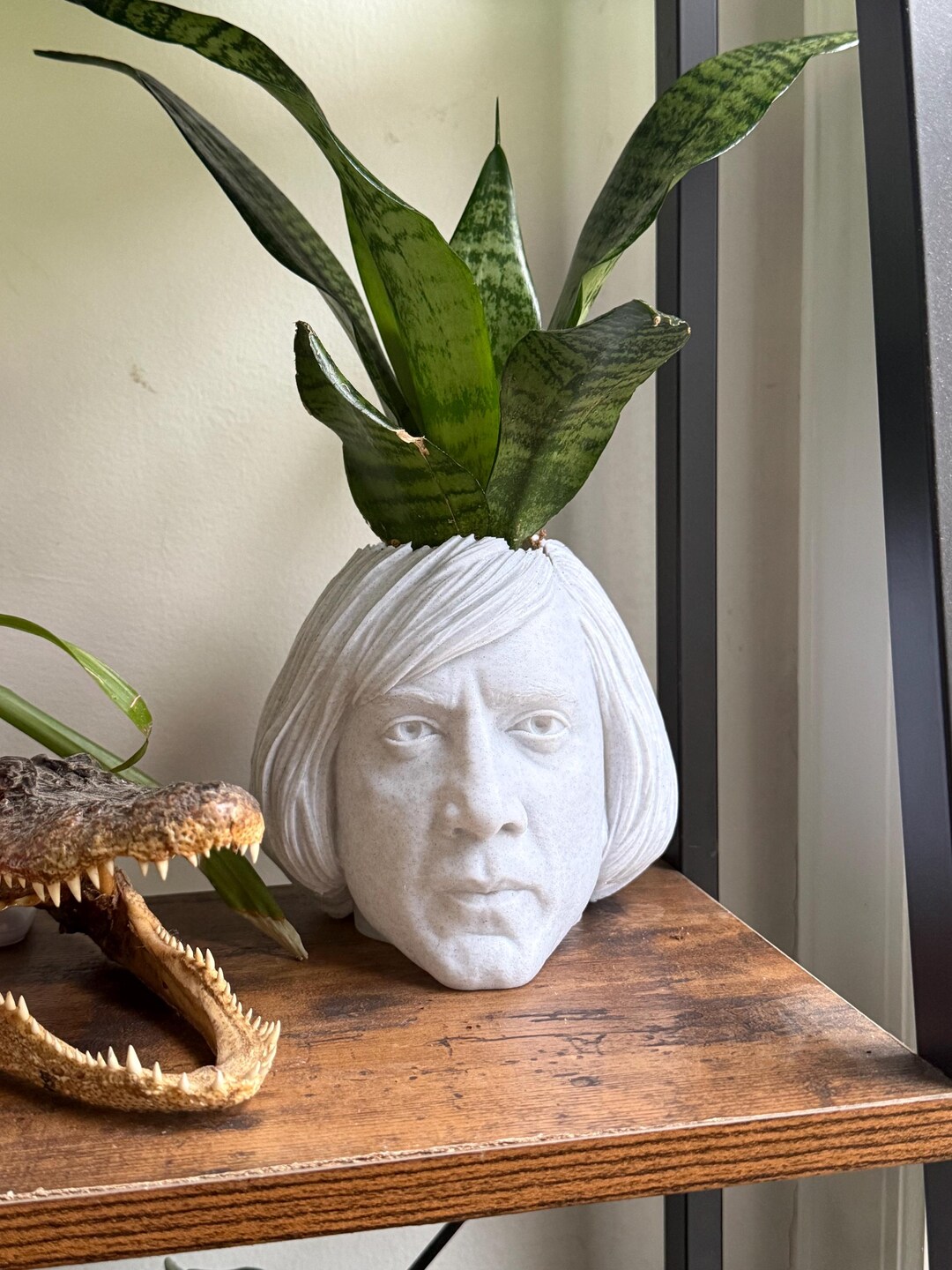 Anton Chigurh Planter for Houseplants and Succulents No Country
