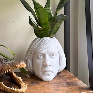Op de afbeelding: Een witte, gebeeldhouwde hoofdbak met een serieuze uitdrukking, met een groene slangplant. De bak staat op een houten plank, met links een geconserveerde alligatorkop. De plant heeft lange, groene bladeren.