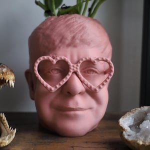 The Elton John Planter For House Plants and Succulents image 4