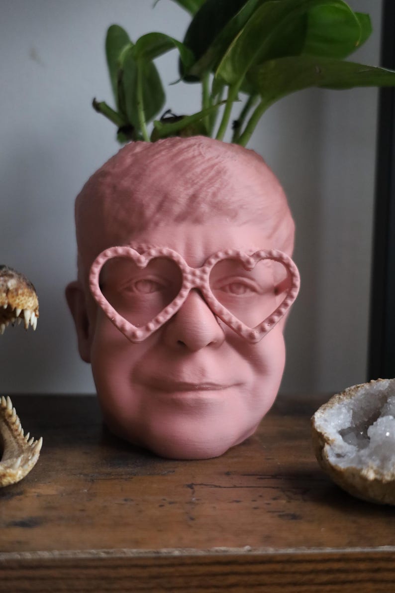 The Elton John Planter For House Plants and Succulents image 4
