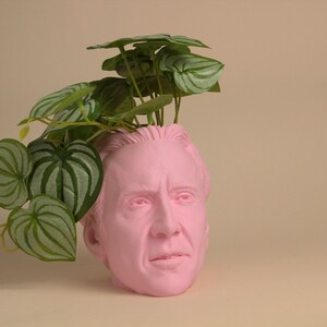 The Nicolas Cage Head Planter For House Plants and Succulents image 3