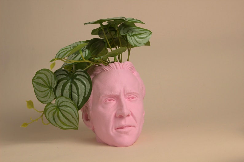 The Nicolas Cage Head Planter For House Plants and Succulents image 3
