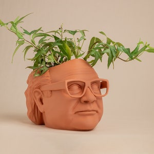 The XL Danny DeVito Frank Reynolds Planter For House Plants and Succulents